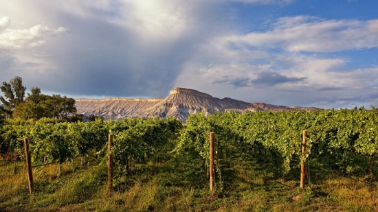 Grand Junction, CO