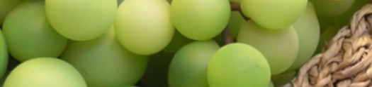 wine-grapes-white